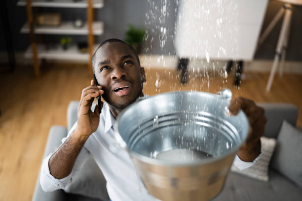 Best Basement water damage restoration  in Vilonia, AR