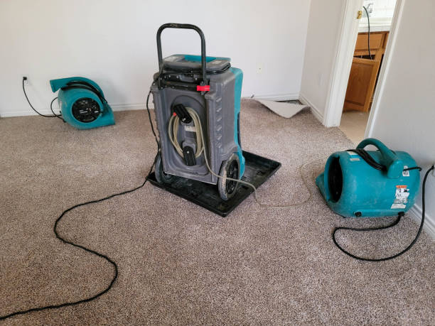 Best Flood restoration services  in Vilonia, AR
