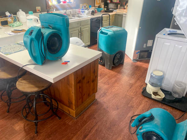 Best Commercial water damage restoration  in Vilonia, AR