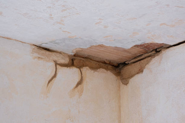 Best Flood damage cleanup  in Vilonia, AR