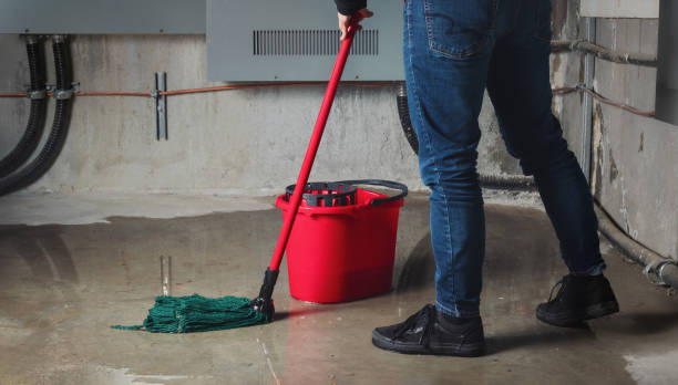 Best 24-hour water damage restoration  in Vilonia, AR