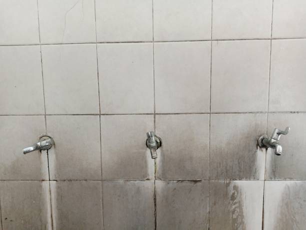 Best Water damage contractors near me  in Vilonia, AR
