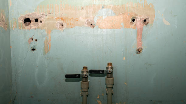Best Local water damage restoration  in Vilonia, AR