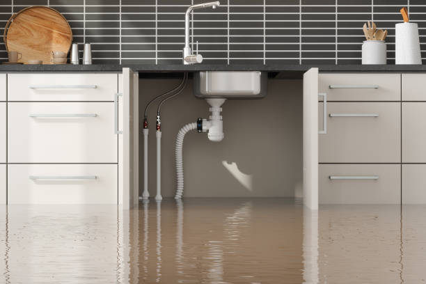 Best 24/7 water damage repair  in Vilonia, AR