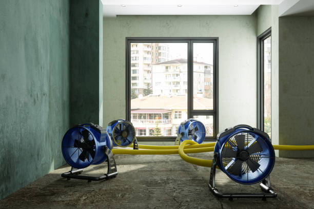 Best Mold removal after water damage  in Vilonia, AR